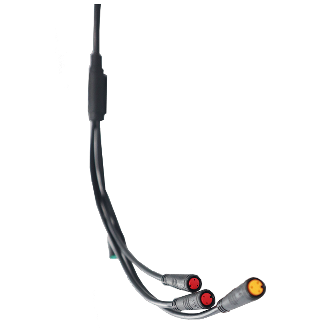 Wire Harness for Rebel