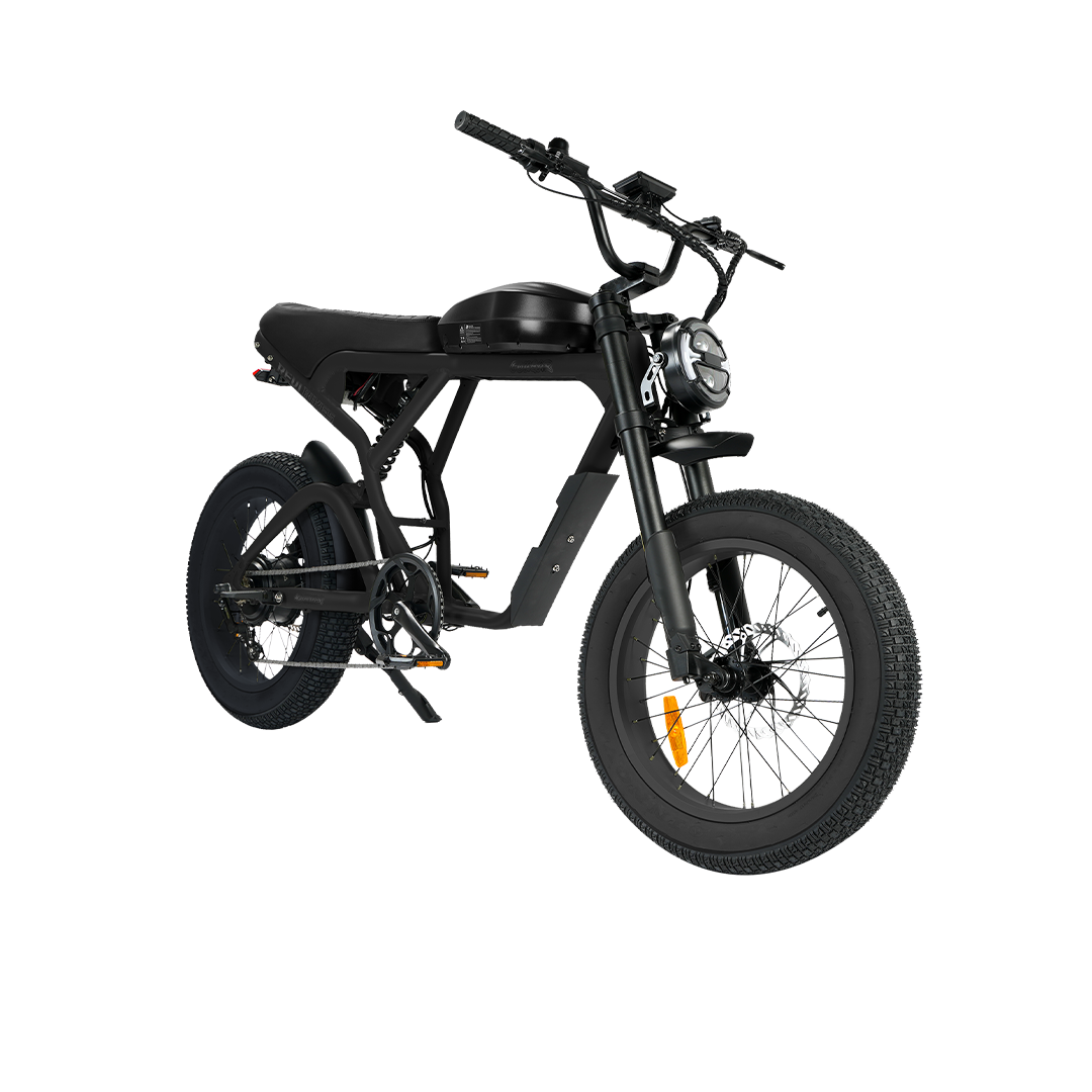 Cougar Vintage ebike - REVIBIKES
