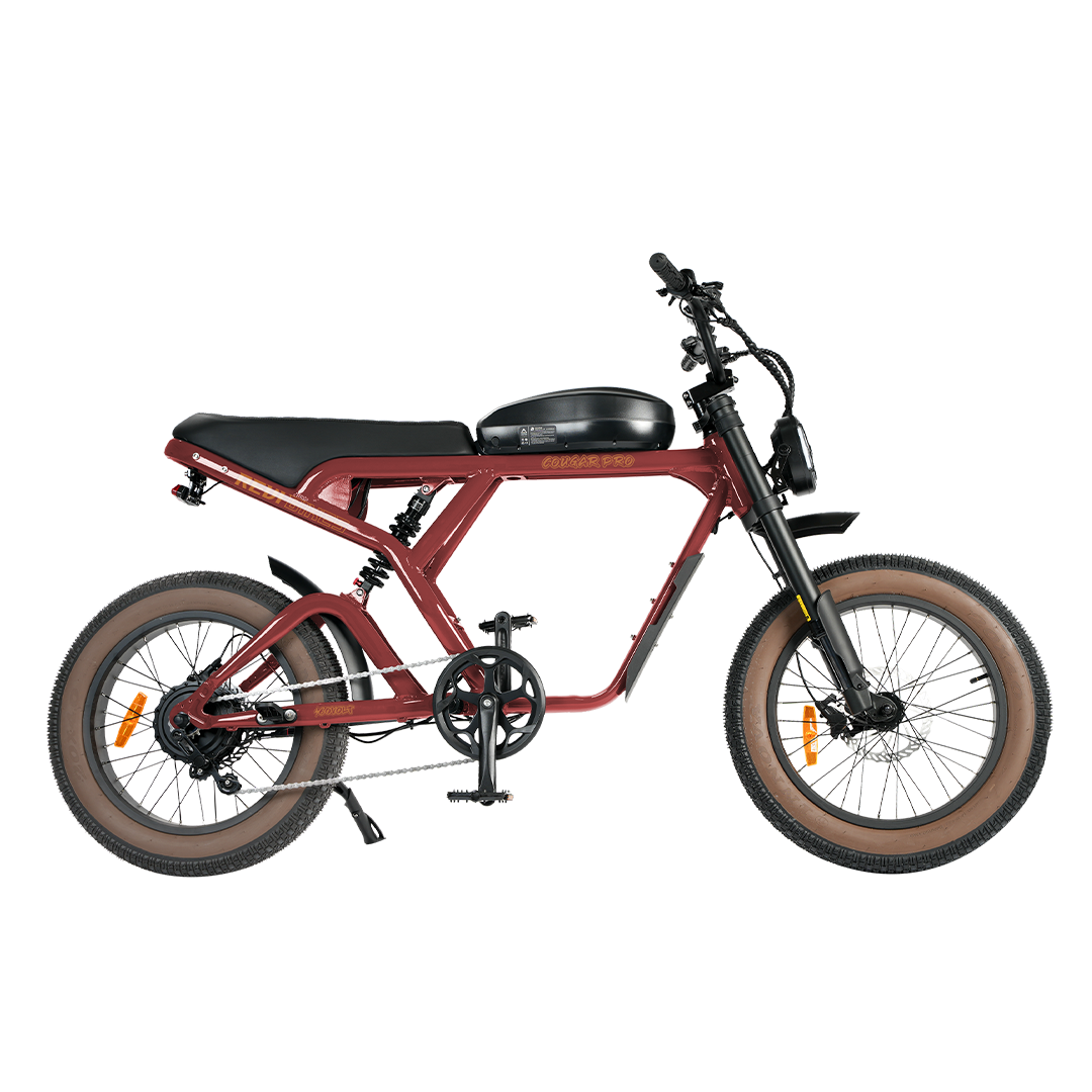 Cougar Vintage ebike - REVIBIKES