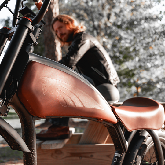 Prowler Vintage ebike - REVIBIKES