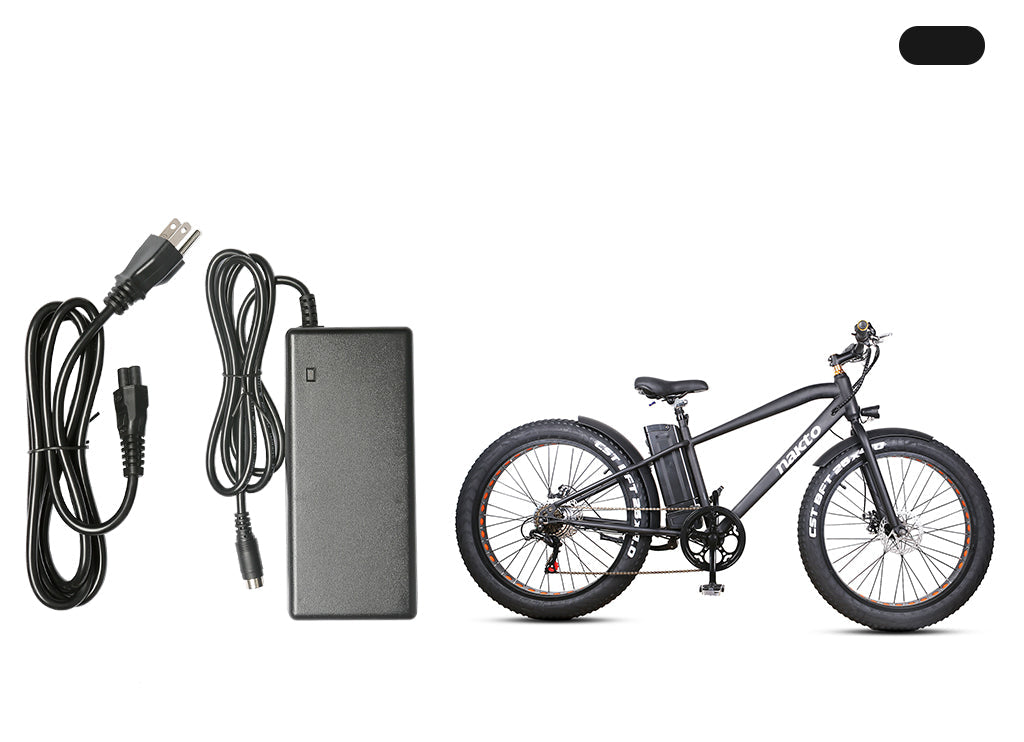 Charger for Cruiser SKU:D010075