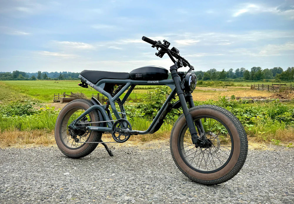 Cougar Vintage ebike - REVIBIKES
