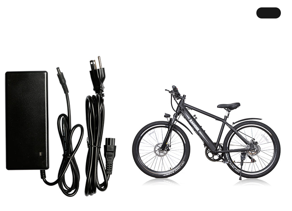 Charger for Ranger SKU: D010083/D010082