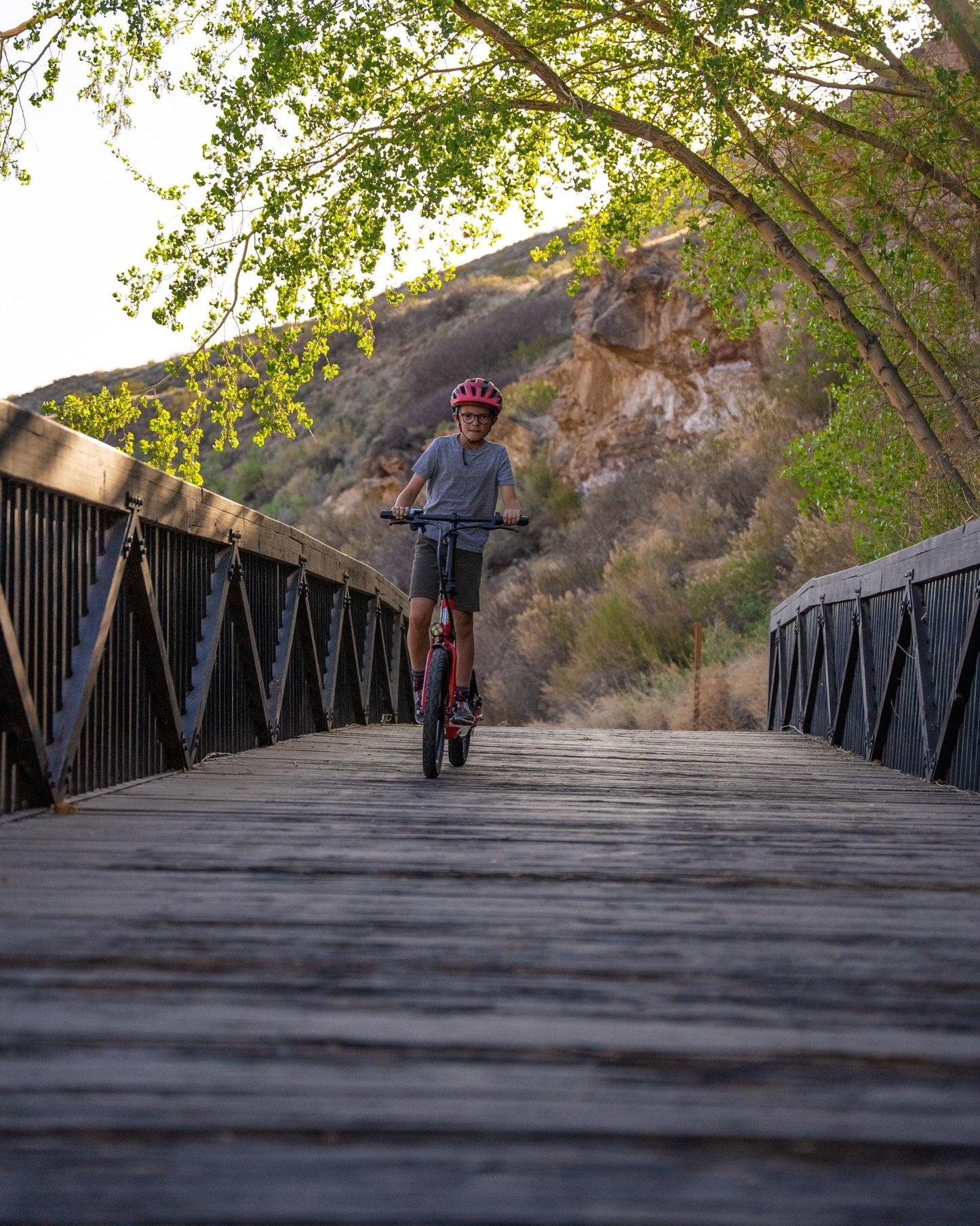 Badger 36V/350W E-Scooter - Bakcou