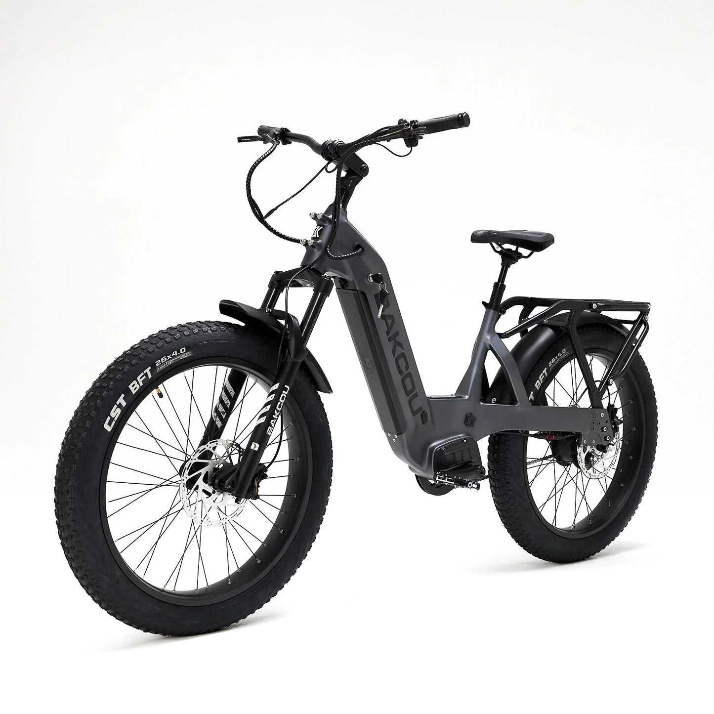 Flatlander SD - Trail Blazing eBike, Bakcou