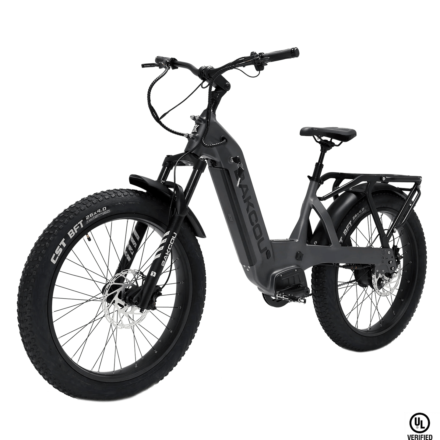 Flatlander SD - Trail Blazing eBike, Bakcou
