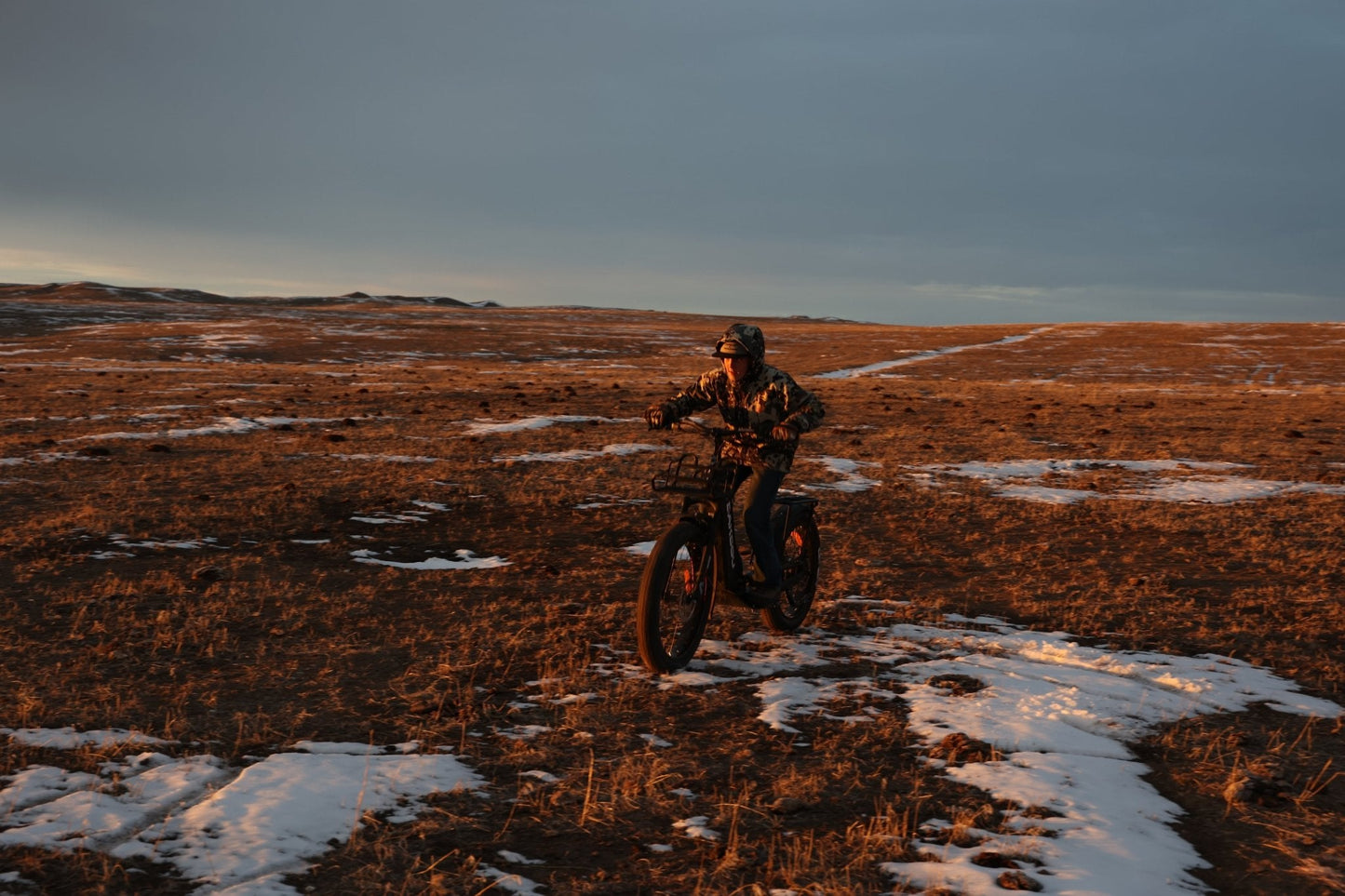 Grizzly 1000W Off-Road E-Scooter - Bakcou