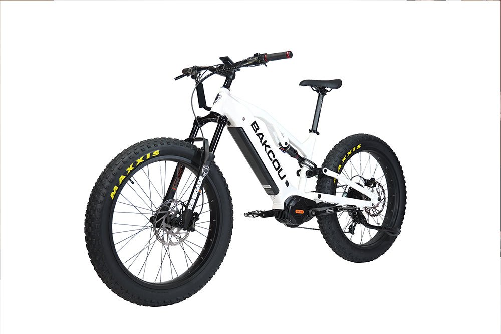 Scout - Full Suspension Fat Tire eBike, Bakcou