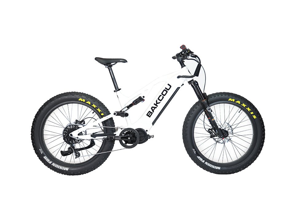 Scout - Full Suspension Fat Tire eBike, Bakcou