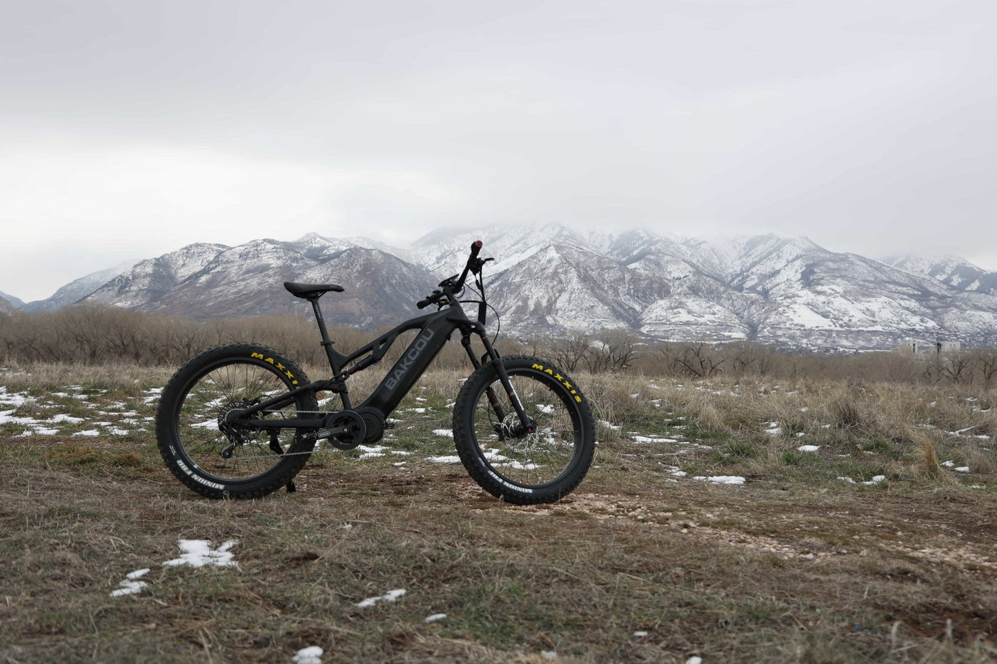 Scout - Full Suspension Fat Tire eBike, Bakcou