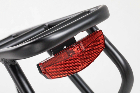 Rear Rack for Oasis
