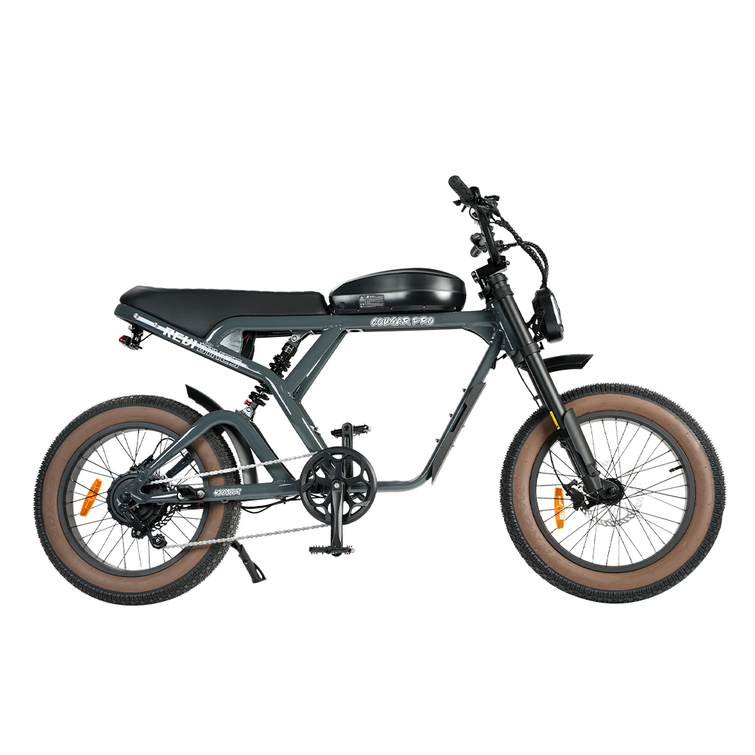 Cougar Vintage ebike - REVIBIKES