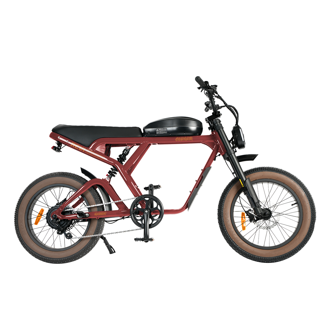 Cougar Vintage ebike - REVIBIKES