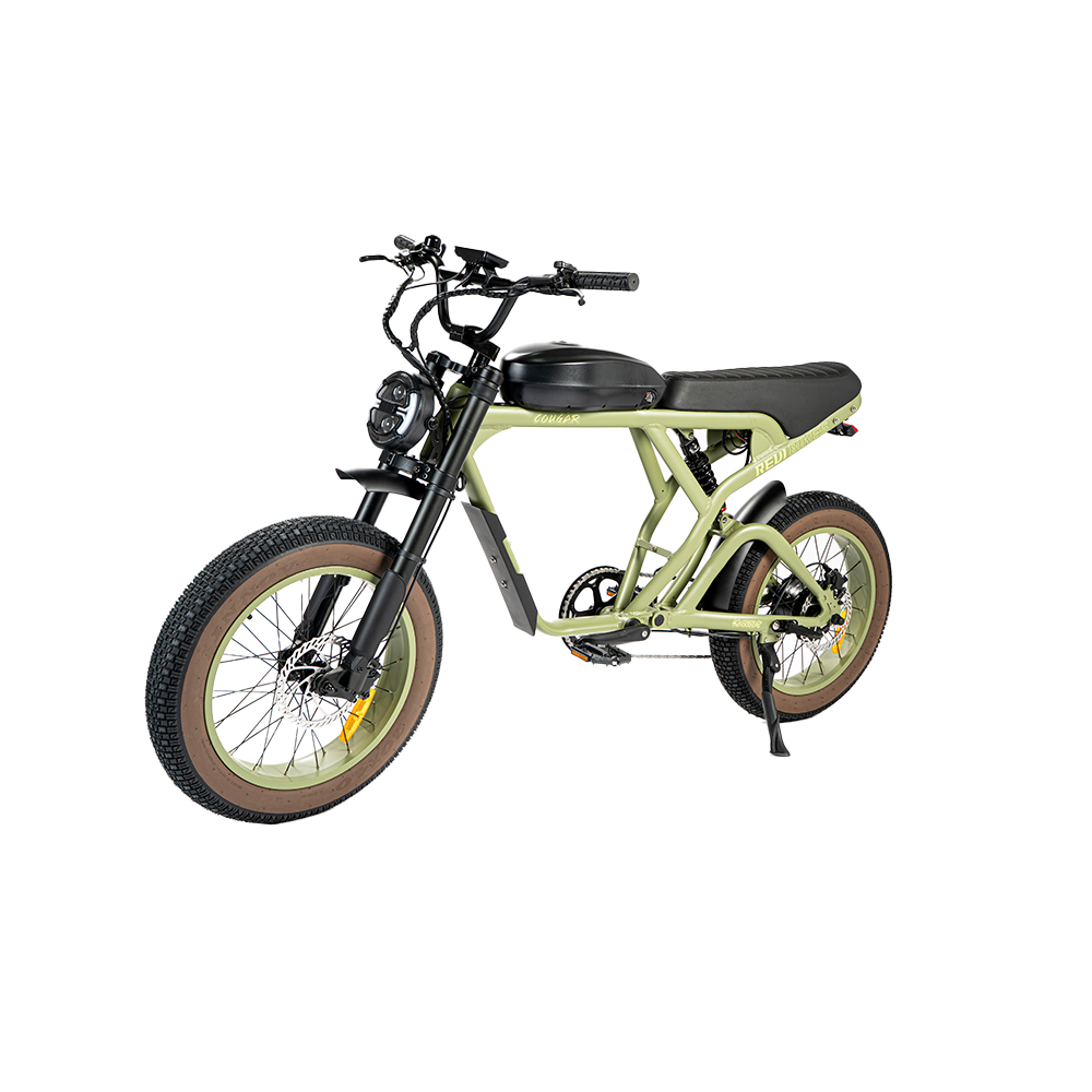 Cougar Vintage ebike - REVIBIKES
