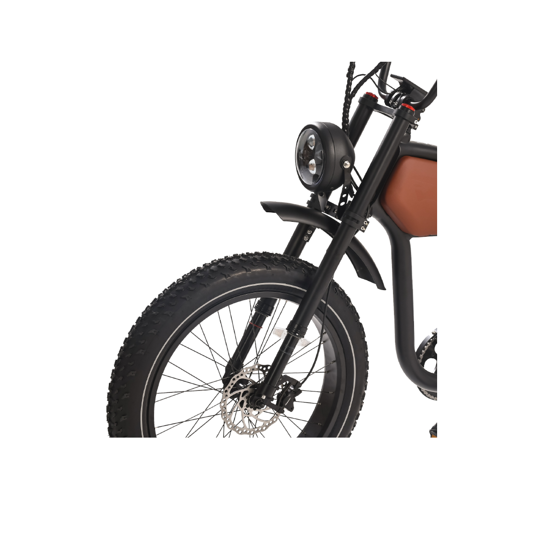Prowler Vintage ebike - REVIBIKES