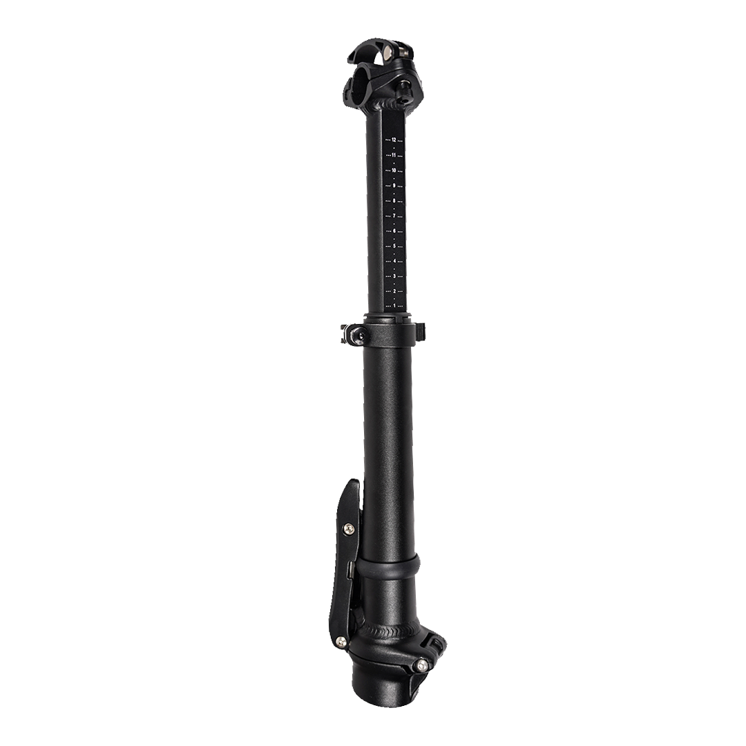 Rebel.2  Stem