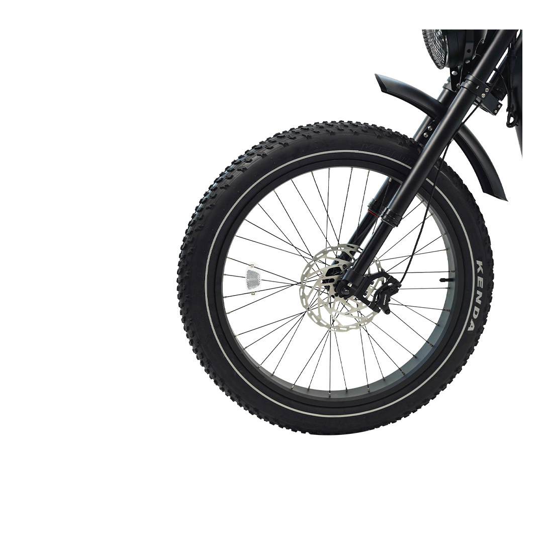 Cheetah Pro Vintage ebike - REVIBIKES