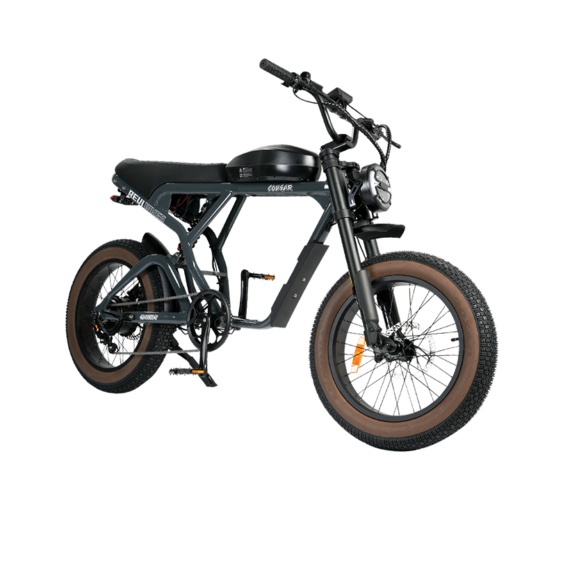 Cougar Vintage ebike - REVIBIKES