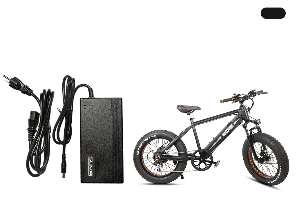 Charger for Discovery SKU:D010082