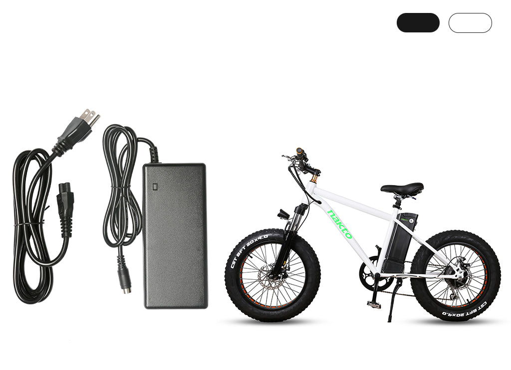 Charger for Mini Cruiser SKU:D010075