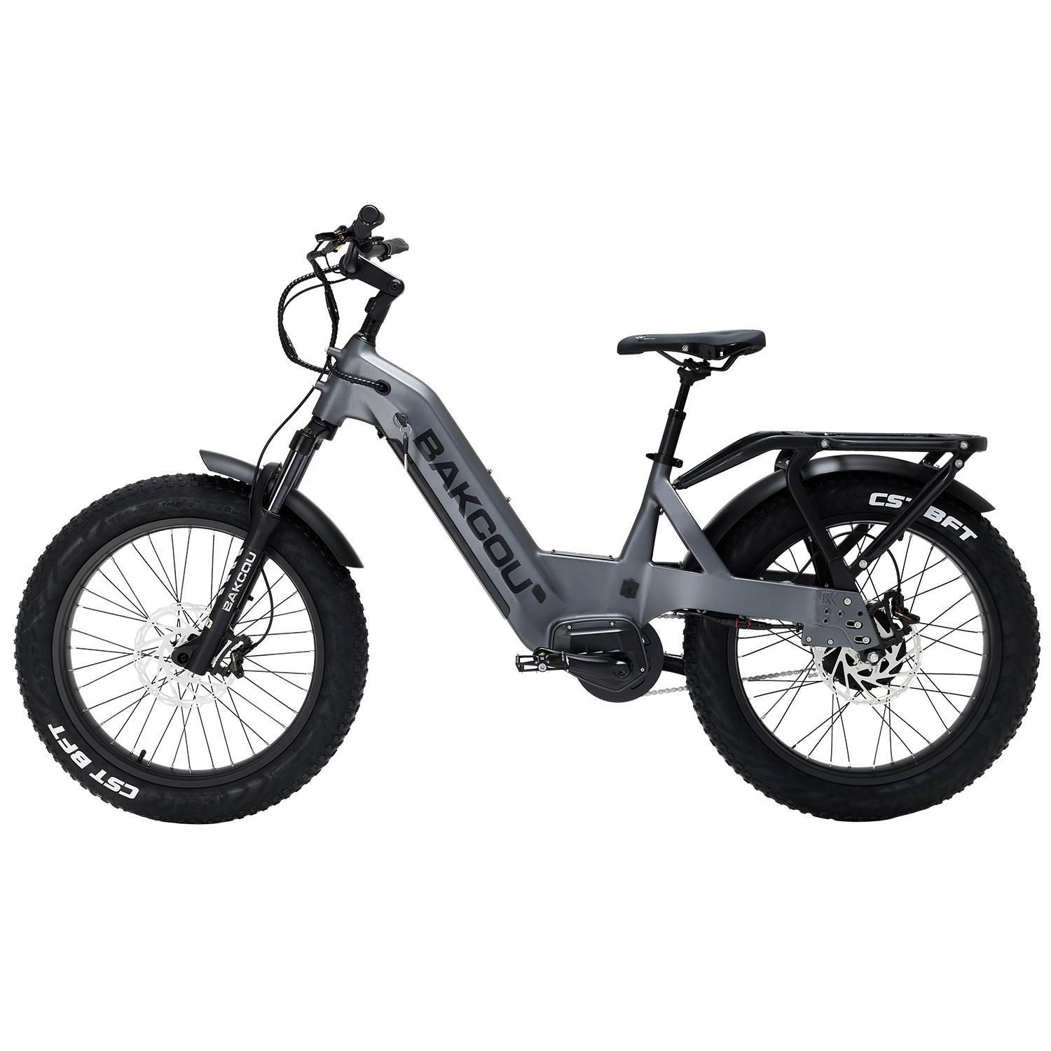 Flatlander SD - Trail Blazing eBike, Bakcou