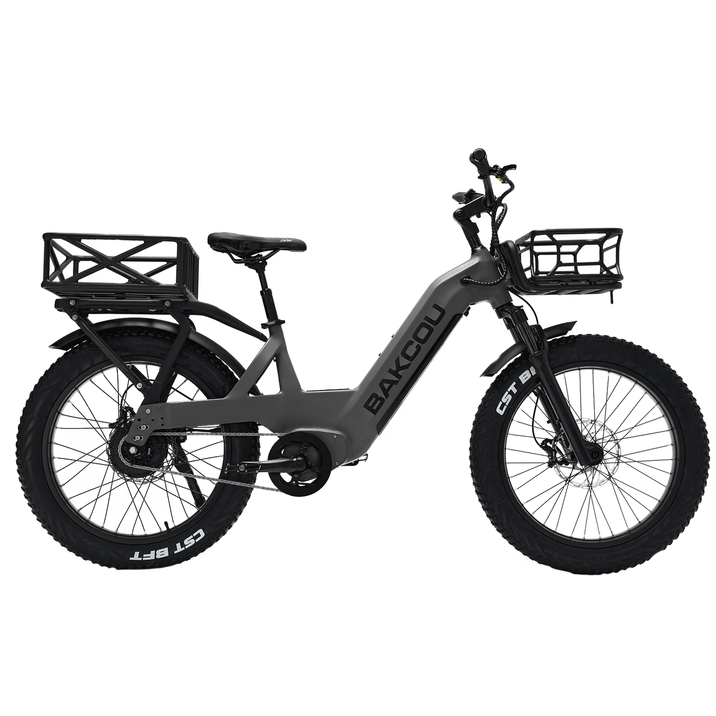 Flatlander SD - Trail Blazing eBike, Bakcou