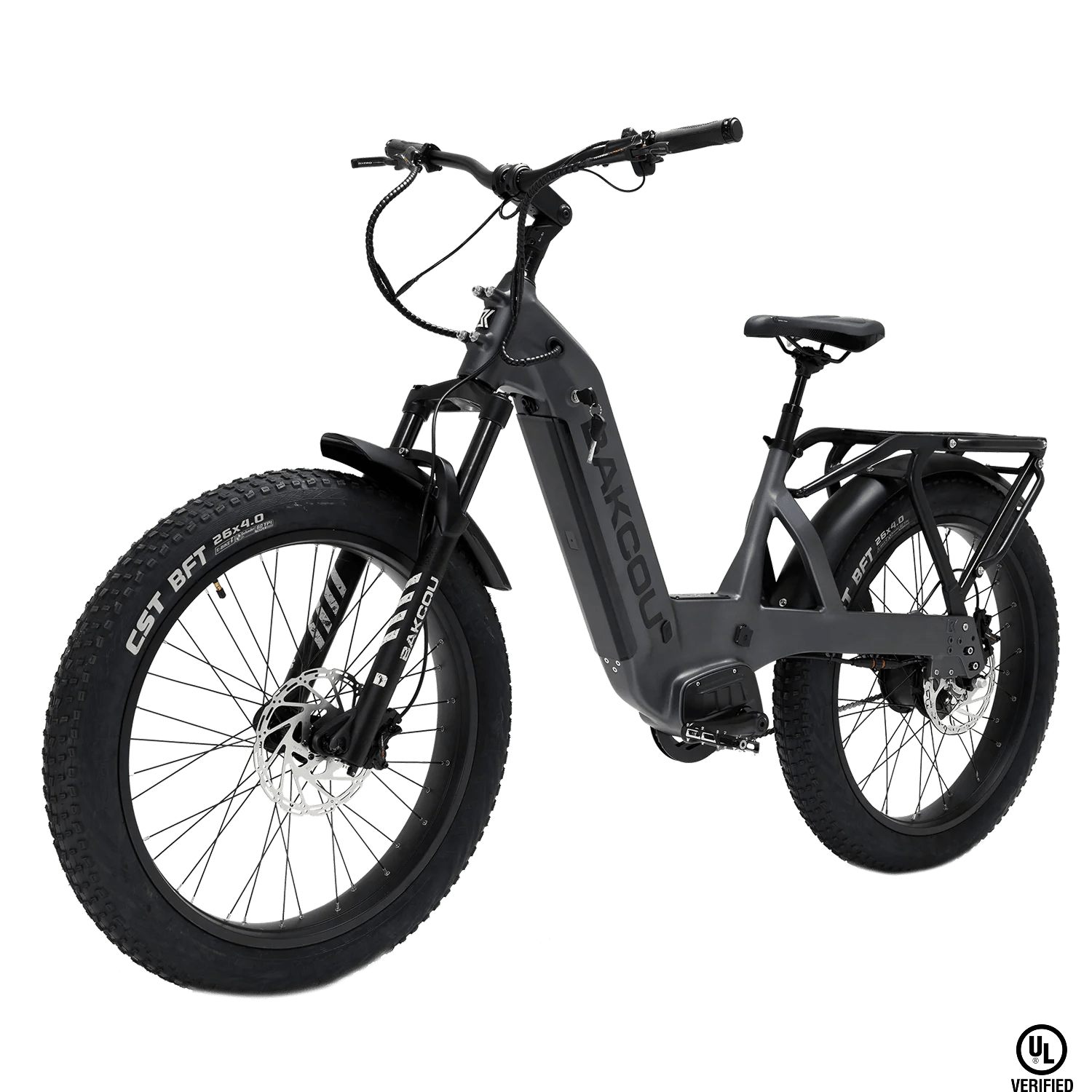 Flatlander SD - Trail Blazing eBike, Bakcou