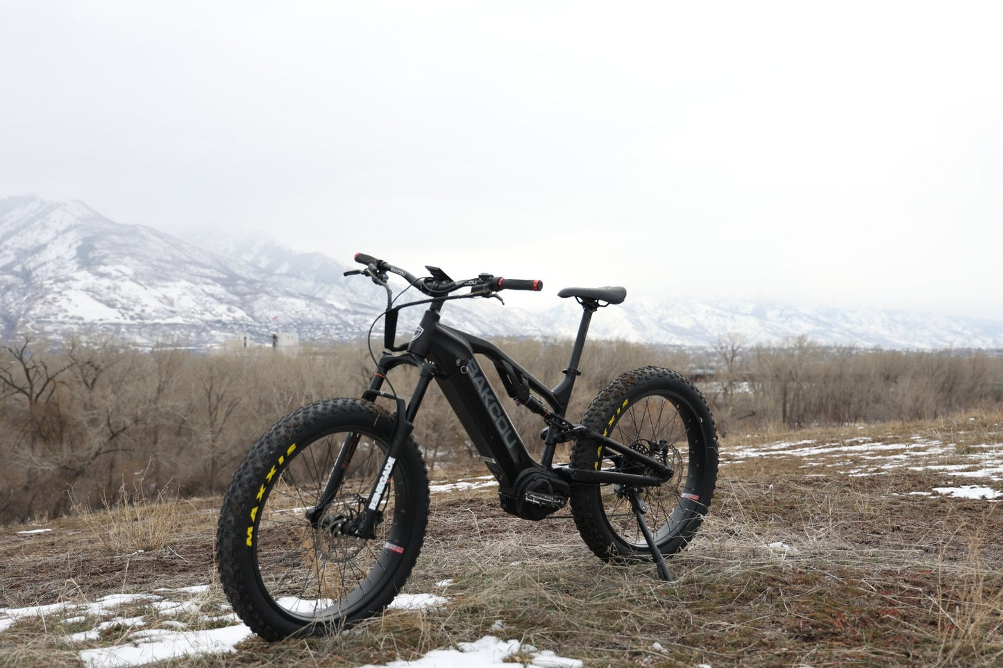 Scout - Full Suspension Fat Tire eBike, Bakcou
